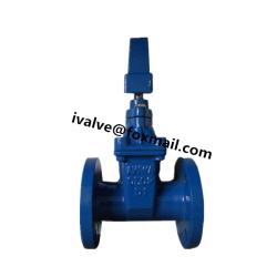 Cast Iron AWWA C509 Gate Valve