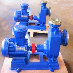 CYZ-A self priming oil pump