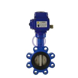 Lug Butterfly Valve 