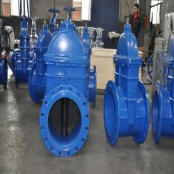 ANSI Cast Iron Gate Valve