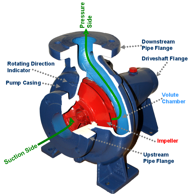 Cutaway view of centrifugal pump